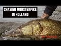 BOOM! 💥🔥 🤯 126cm pike from The Netherlands