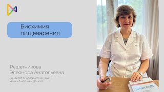 картинка: «Биохимия пищеварения»