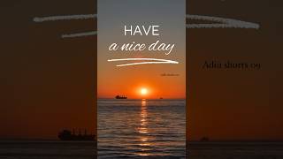 The View Sunset Nature Hills