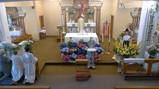 April 27, 2025 - Niedziela Bożego Miłosierdzia, Rok C - live stream