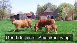 Vleesboerderij Masseurs Oud Gastel