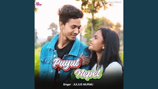 Download Lagu PUYUL NEPEL Download Lagu PUYUL NEPEL