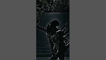 Xenomorph (ALIEN) vs Yautja (Predator)