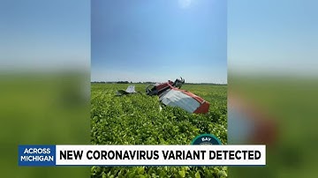 Crop duster crash under investigation