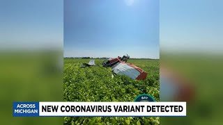 Crop duster crash under investigation