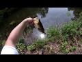 Pond fishing