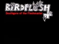 Birdflesh - Deathgore of the Fleshmaster (with Lyrics)