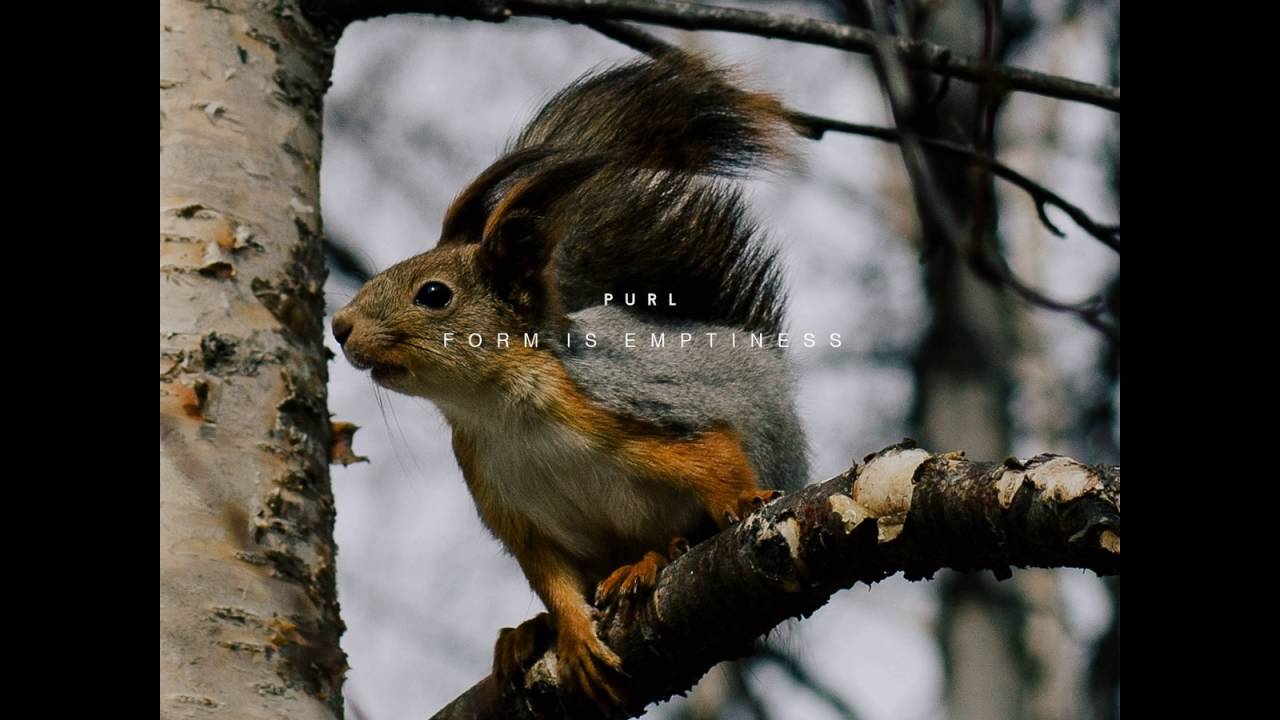 Watch Purl - Form Is Emptiness on YouTube Watch Purl - Form Is Emptiness on YouTube