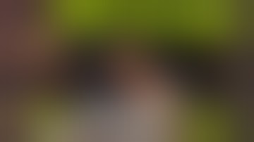 Drop the Bomb: Fallout 4  Offensive Gesture Mod.