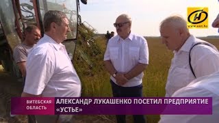 Что увидел Александр Лукашенко, посетив предприятие «Устье» в Оршанском районе?