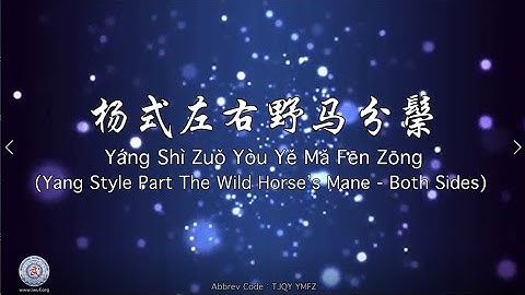Yáng Shì Yě Mǎ Fēn Zōng (Yang Style Part the Wild Horse’s Mane)