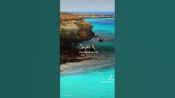 #اكسبلور #المصحف #تلاوه_خاشعه #تيك_توك #دويتو #القران_الكريم #duet #ترند #راحة_نفسية #عيد_الاضحى