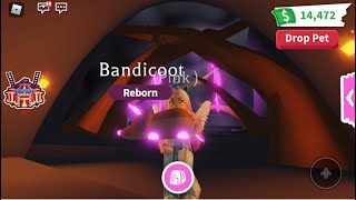 How to make a Neon Bandicoot in Adopt Me! Roblox Neon Pets!