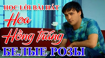 Bài 15: Белые розы - Học hát bài Hoa Hồng Trắng (TTH Lipetsk) | Thầy Hoàng dạy tiếng Nga online 1:1