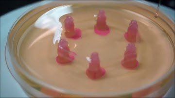 Microfluidic generation of hollow Ca-alginate microfibers