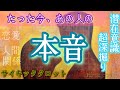 見た時がタイミング💫【たった今のあの人の本音】忖度無し辛口あり❤️🔥潜在意識超深掘りリーディング