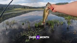 EARLY Summer Bass Fishing!!