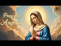 The Angelus Prayer at 6am, 12pm & 6pm | Traditional Catholic Prayer