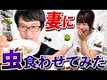 虫嫌いの妻、人生初の昆虫食🐛🐝🐜🐞