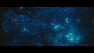 Maleficent - Aurora in Faerieland Soundtrack