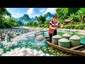 [TIMELAPSE] -- 316 Days Harvesting A Lot Of Duck Eggs, Duckling, Chicken Eggs  Go To Market Sell