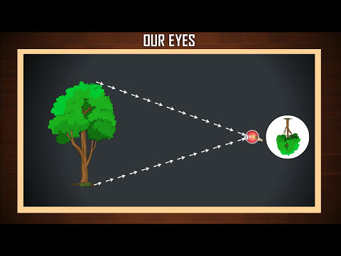 How we see