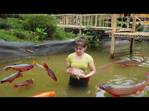 Harvesting Fishing At Fish Pond Goes To Market Sell - Cook Delicious Fish Hotpot
