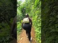 mendaki gunung #fypシ #bumil