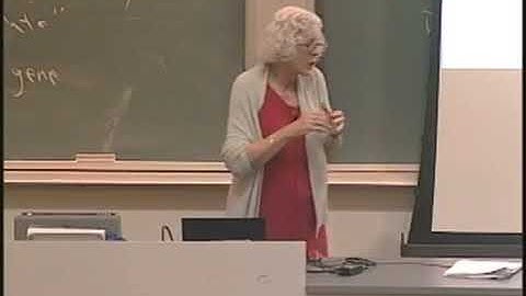 Social Origins of the Self | Sociology 1 | Lecture 2