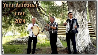 Ylli Alushaj {Live me orkestren 2024} #live #popullore #folk #festive #yllialushaj