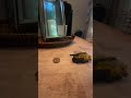E #slowmotion #transformation