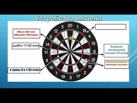 Дартс Как устроена мишень для игры в дартс