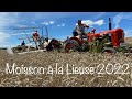 Moisson à l’ancienne avec Lieuse Mc Cormick et Tracteur zetor