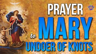 🌹 Divine Solace: Prayer to Mary, Undoer of Knots