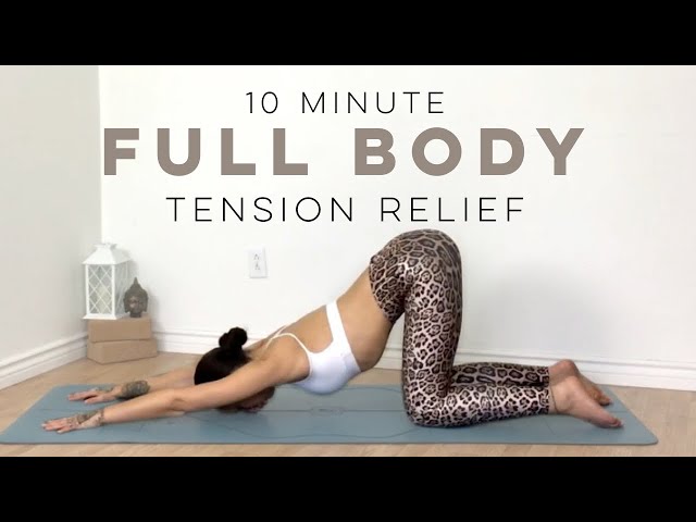 Full Body Stretching Exercises  Full body stretch, Easy yoga
