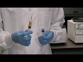 Regenlab PRP - Platelet Count Test