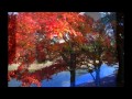 宇治川哀歌/香西かおり byトミー