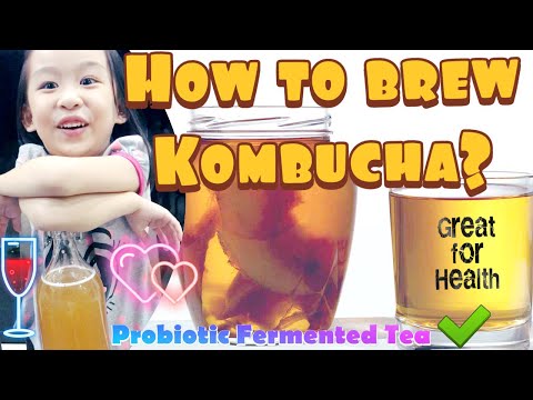 step-by-step-guide-how-to-brew-kombucha-at-home-|-probiotic-fermented-tea-drink-great-for-health
