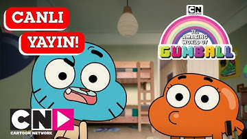 🔴 CANLI 🔴 GUMBALL | 3. Sezon Tüm Bölümler | Cartoon Network Türkiye