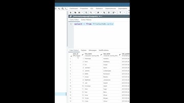 How to SHOW DATATYPE In Columns postgres