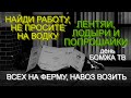 Найдите работу, а не просите на водку. Лентяи, лодыри и попрошайки. день бомжа tv