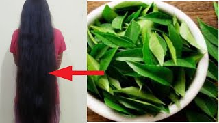 बालों की अनेक समस्याओं का एक अनोखा घरेलु उपाय|Amazing tips for hair regrowth with curry leaves