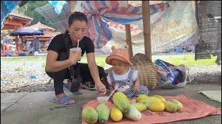 Yen Nhi, harvests melons in the farm to sell, sow rice seeds in the crop