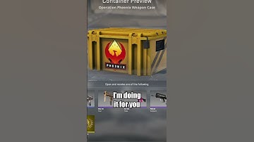 Opening EVERY SINGLE CS2 CASE UNTIL I GET A RARE SPECIAL ITEM DAY 5 : THE PHOENIX CASE