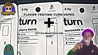 FLAVOR TESTING TURN VAPES + GETTING SMACKED ON SUM TREES 🫠