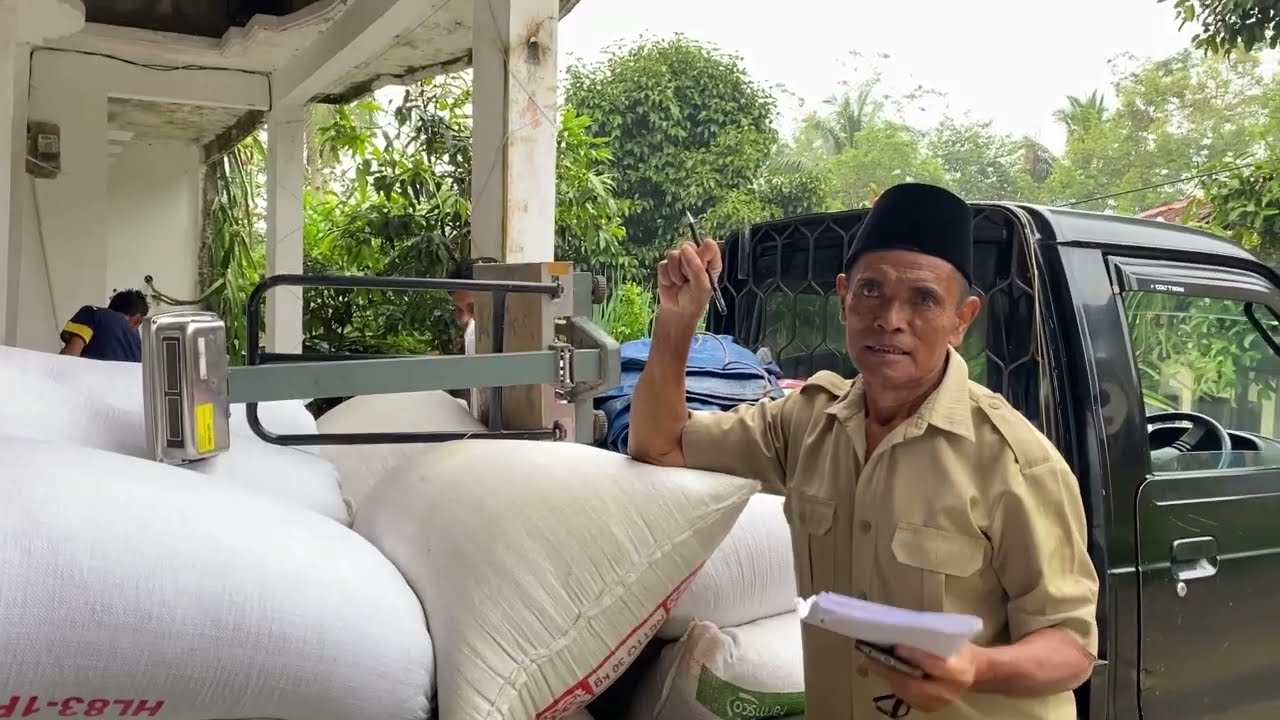 ALHAMDULILLAH JUAL PADI