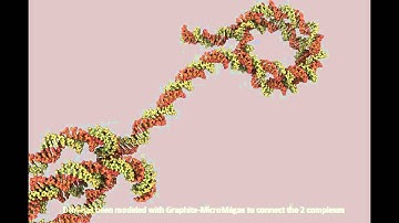 Easy DNA modeling with Graphite-LifeExplorer: Nucleosomes