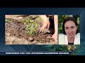 What to Know Before You Plant: Gardening Trends for 2026
