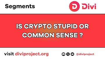 Divi Segments - Is Crypto Stupid Or Common Sense?