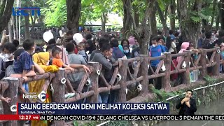 Libur Tahun Baru, Ribuan Pengunjung Padati Kebun Binatang Surabaya #SeputariNewsSiang 02/01